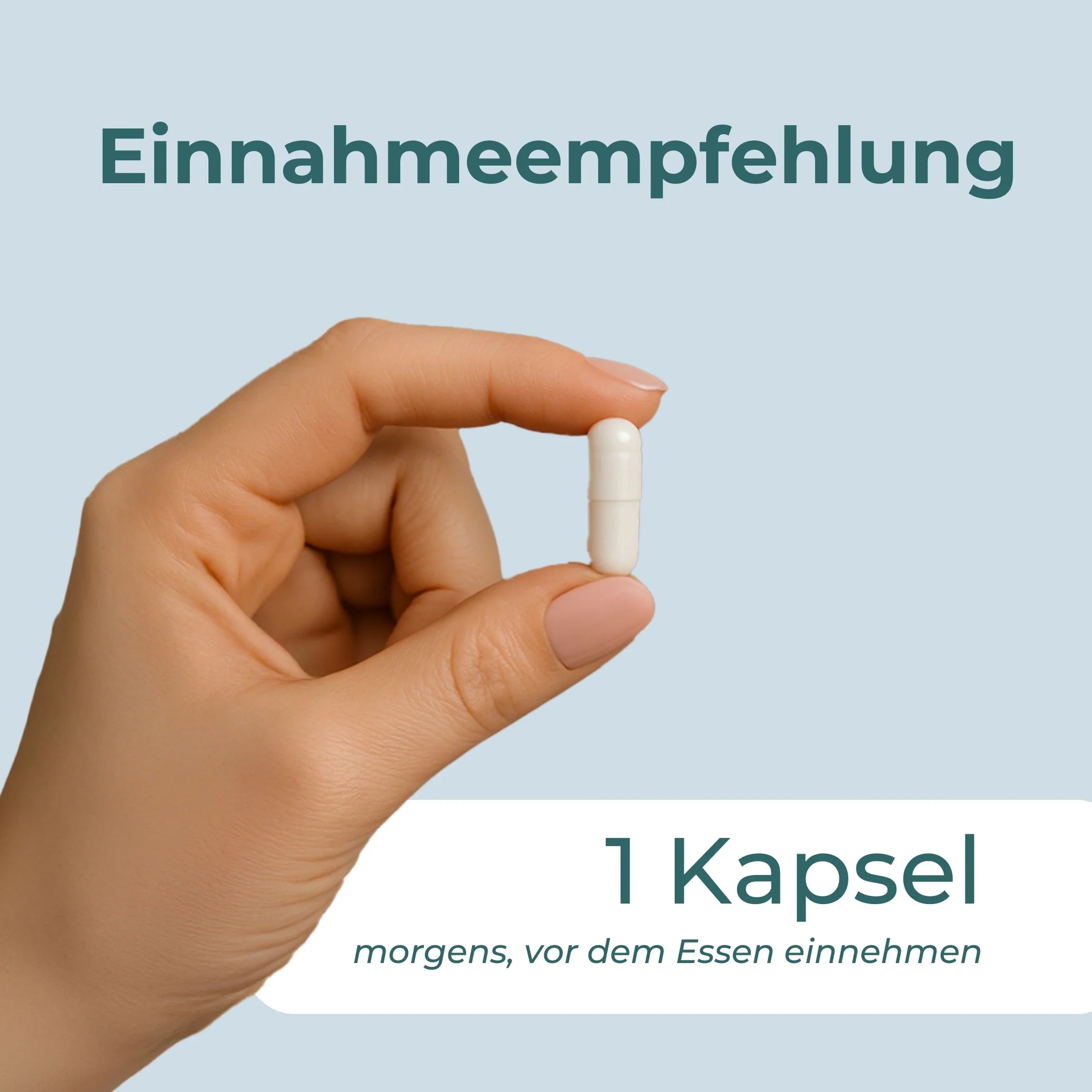Ingwer Kapseln
