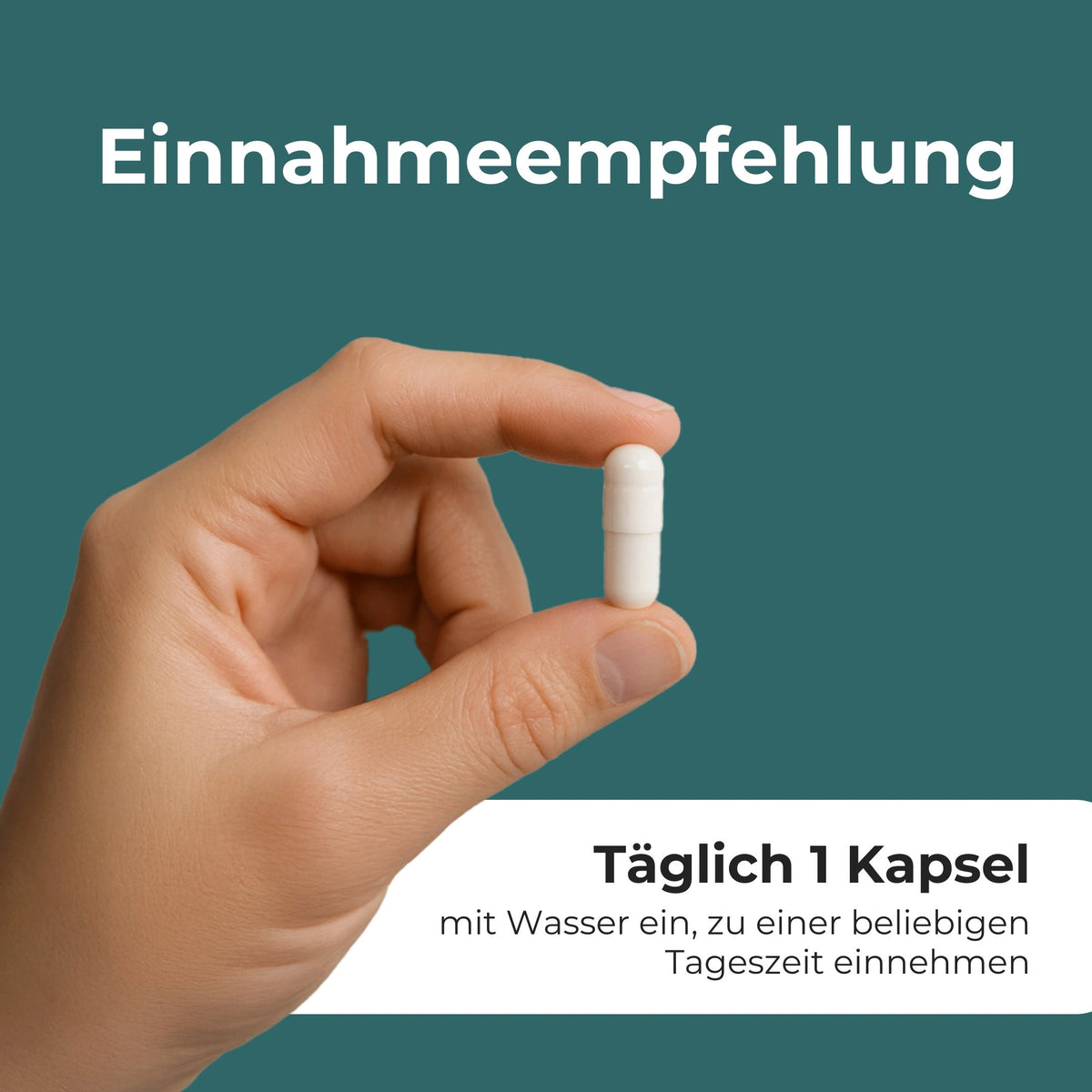 NMN Supplement