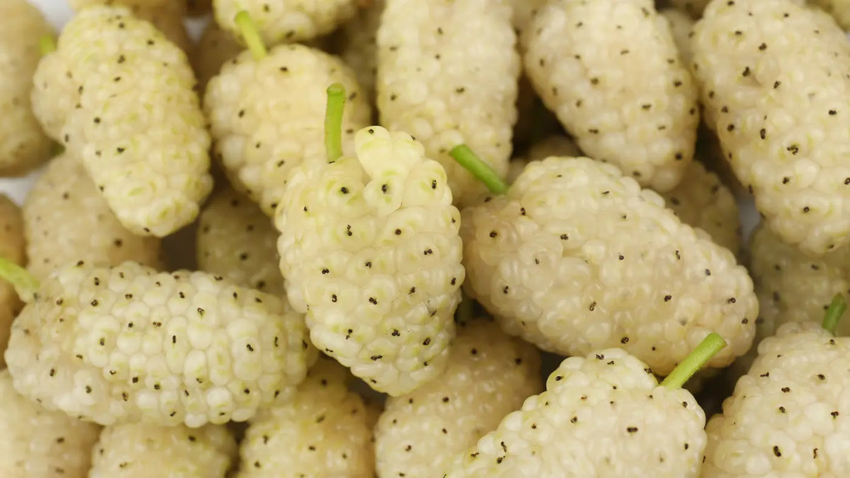 Weiße Maulbeeren