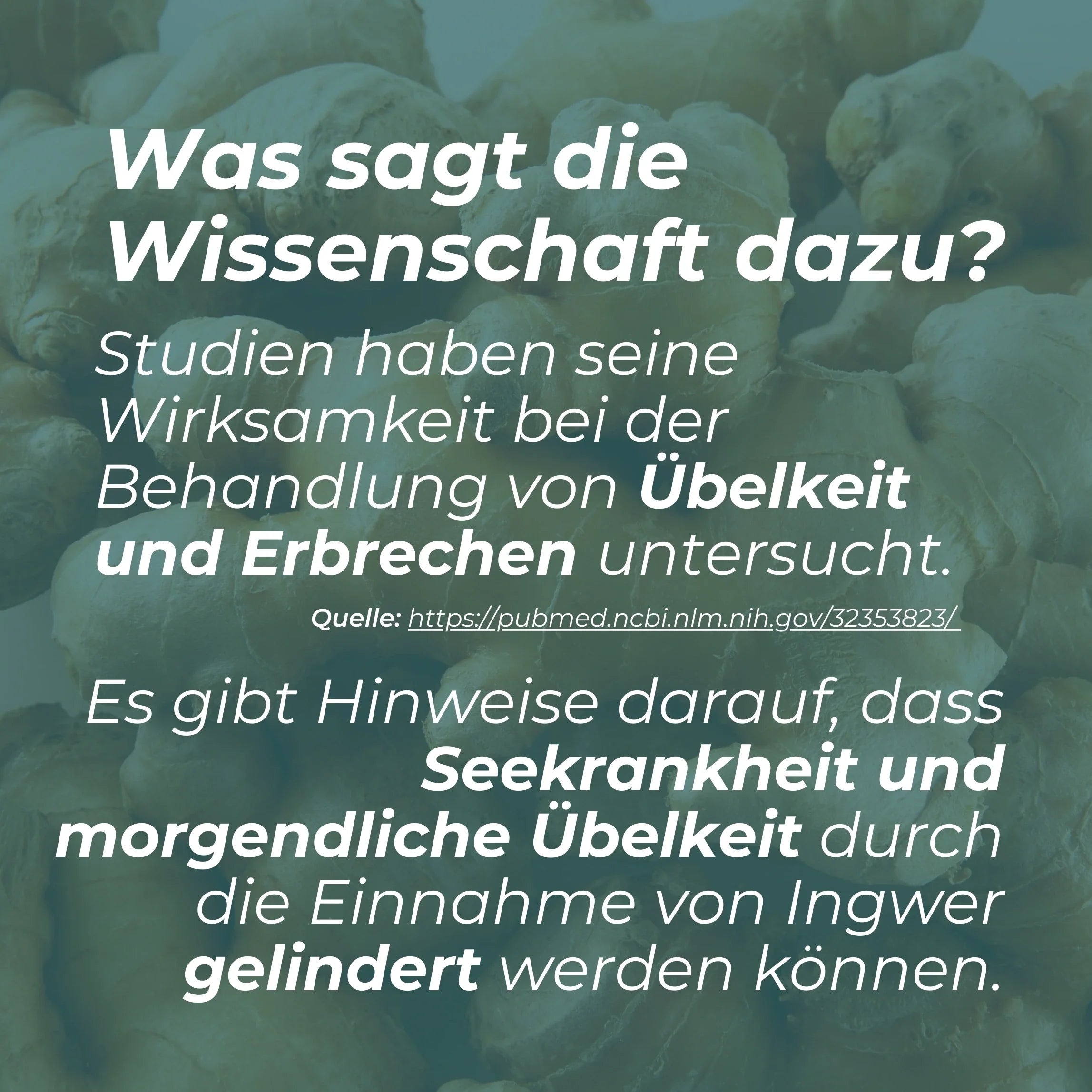 Ingwer Kapseln