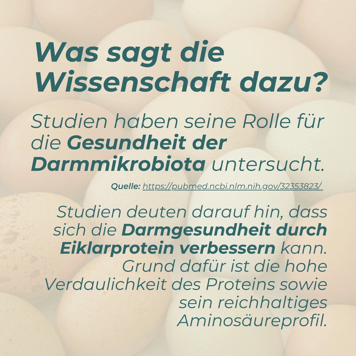 Eiklar-Protein-Pulver