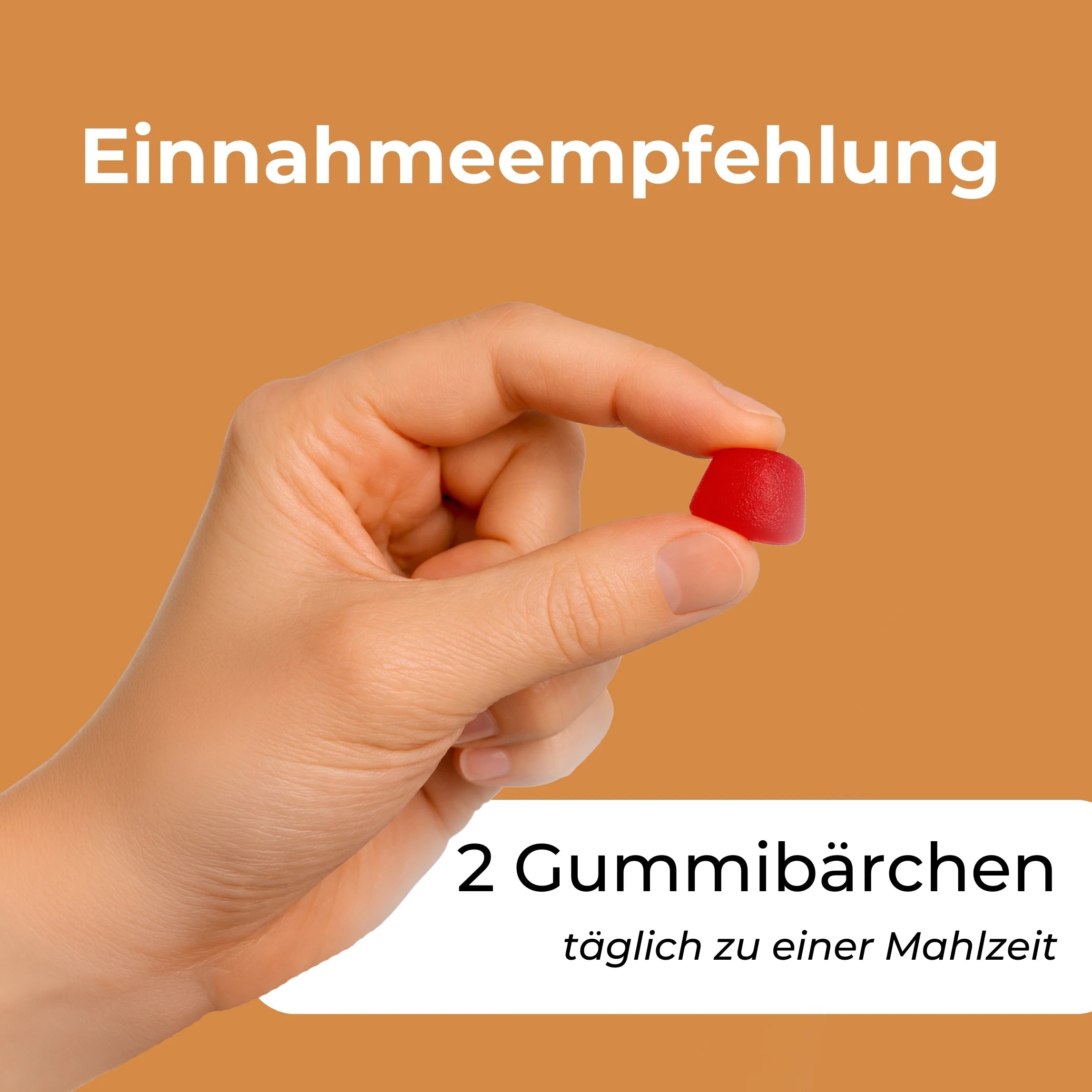 Reishi Pilz Gummibärchen
