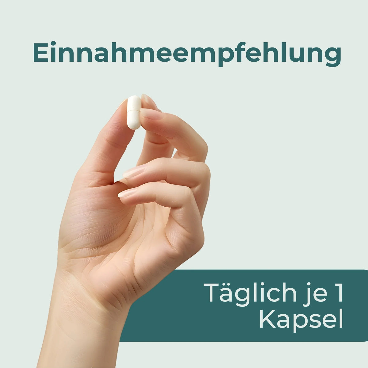 Mitochondrien-Komplex