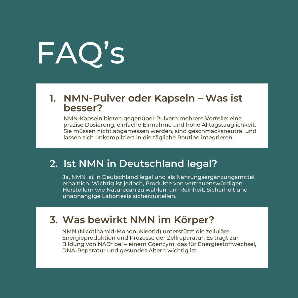 NMN Supplement
