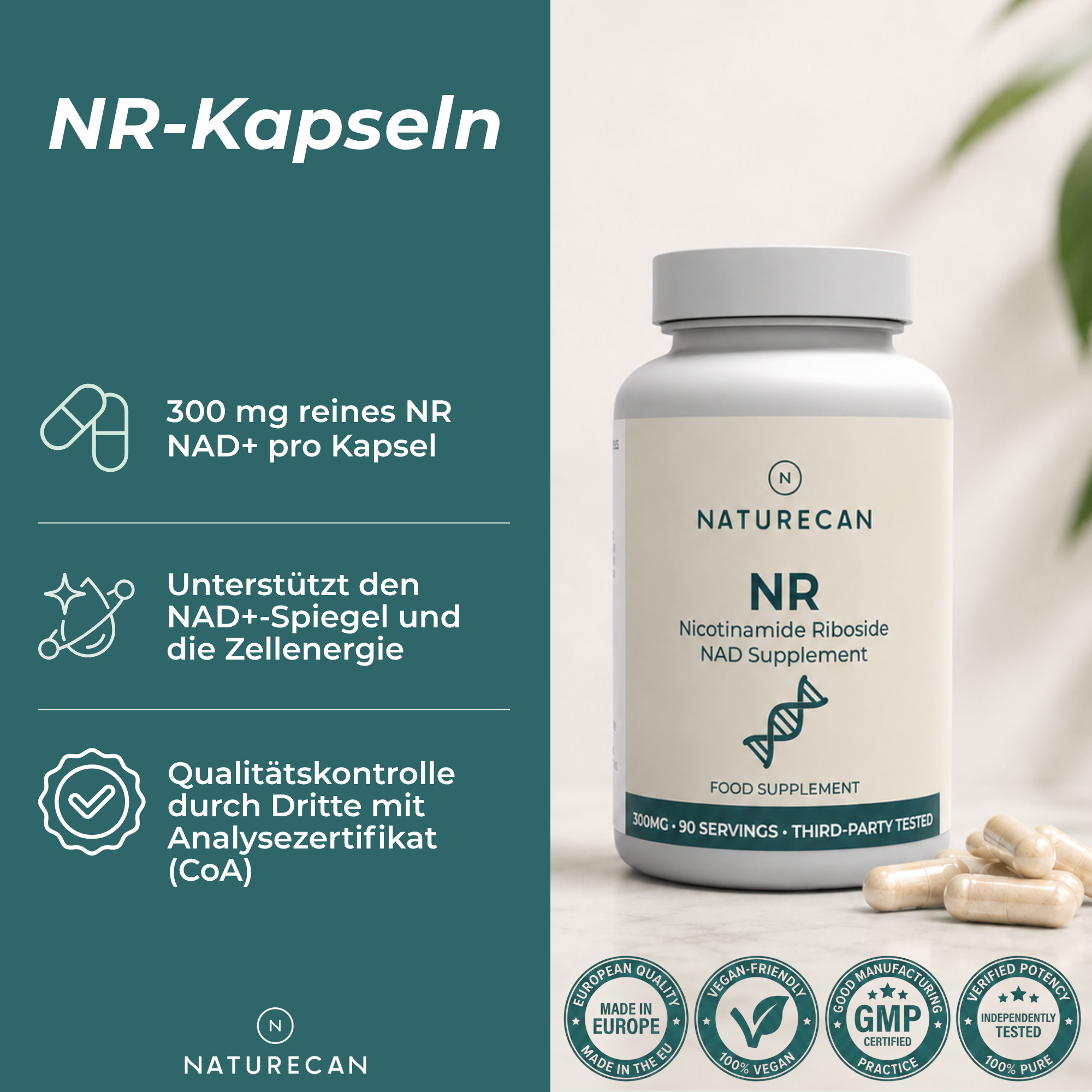 NAD Supplement (NR)