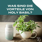 Was sind die Vorteile von Holy Basil?