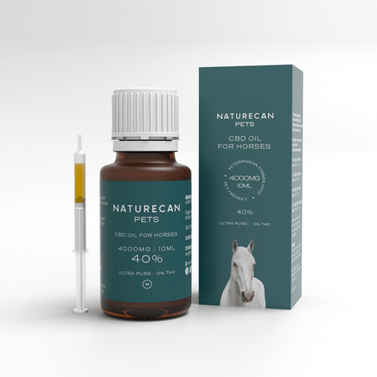 CBD Öl für Pferde