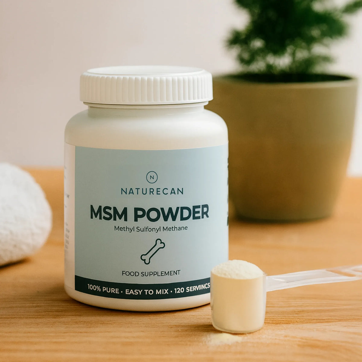 MSM Pulver