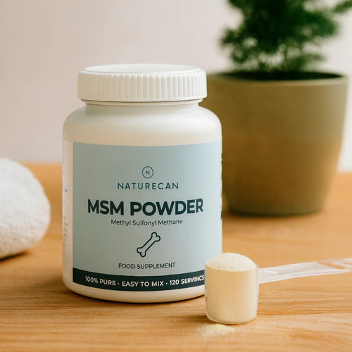 MSM Pulver