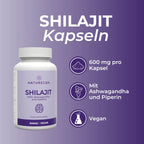 Shilajit