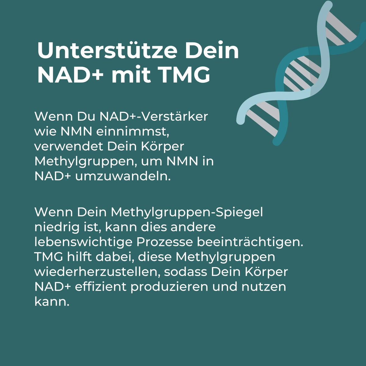 Betain Kapseln (TMG)