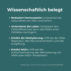 Betain Kapseln (TMG)