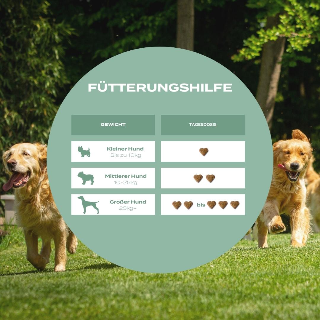 UC-II Hundeleckerlies Dosierung